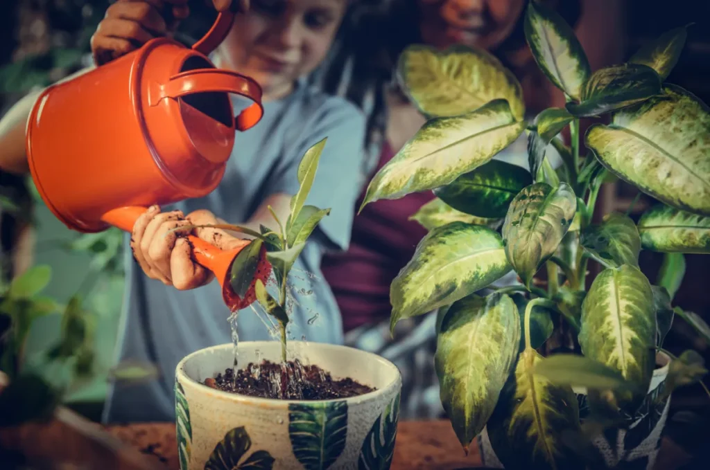 Cuidadoos de las plantas